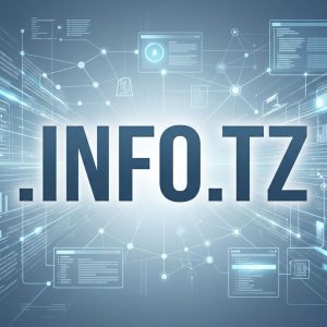 What is a .INFO.TZ Domain