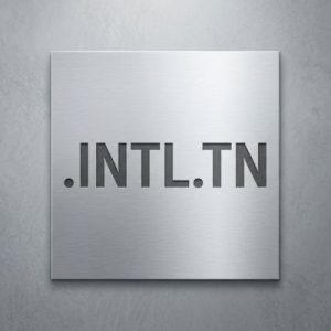 What is a .INTL.TN Domain?