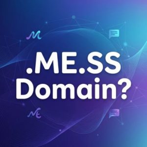 What is a .ME.SS Domain?