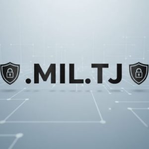 What is a .MIL.TJ Domain?