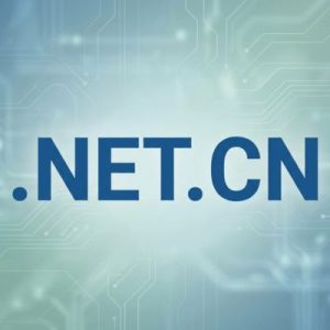 What is a .NET.CN Domain