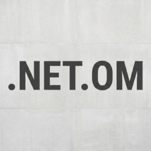 What is a .NET.OM Domain?