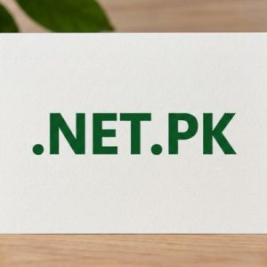 What is a .NET.PK Domain