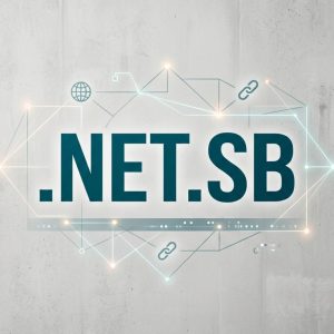What is a .NET.SB Domain