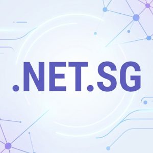 What is a .NET.SG Domain