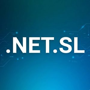 What is a .NET.SL Domain