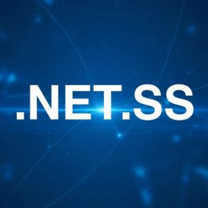 What is a .NET.SS Domain?