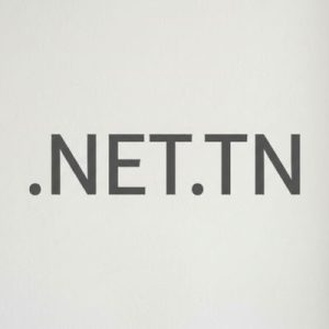 What is a .NET.TN Domain?