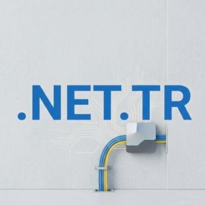 What is a .NET.TR Domain?