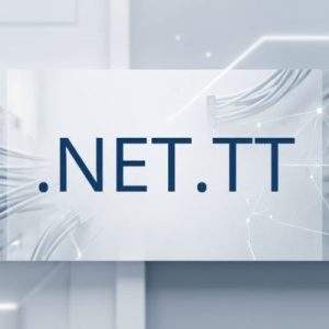 What is a .NET.TT Domain?