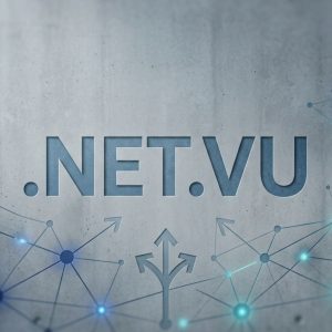What is a .NET.VU Domain