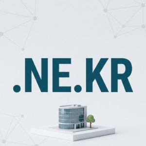 What is a .NE.KR Domain?