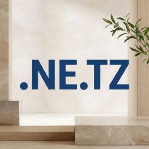 What is a .NE.TZ Domain?