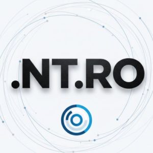 What is a .NT.RO Domain?