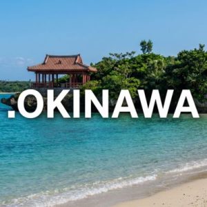What is a .OKINAWA Domain