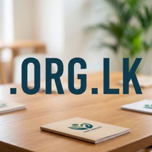 What is a .ORG.LK Domain