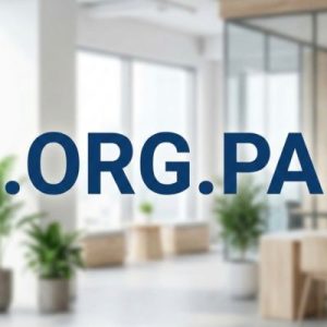 What is a .ORG.PA Domain