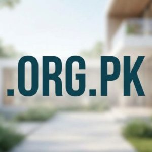 What is a .ORG.PK Domain