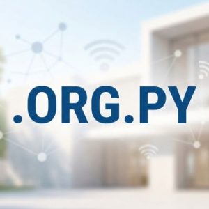 What is a .ORG.PY Domain