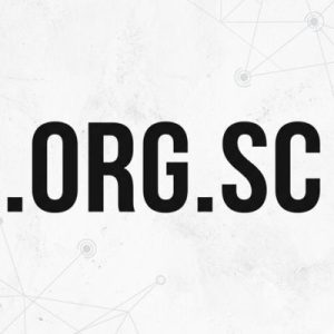 What is a .ORG.SC Domain?
