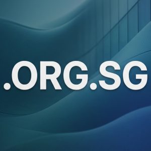 What is a .ORG.SG Domain