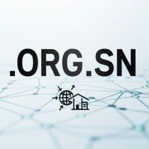What is a .ORG.SN Domain