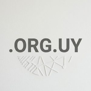 What is a .ORG.UY Domain