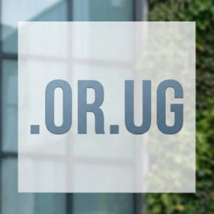 What is a .OR.UG Domain?