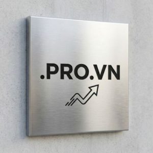 What is a .PRO.VN Domain