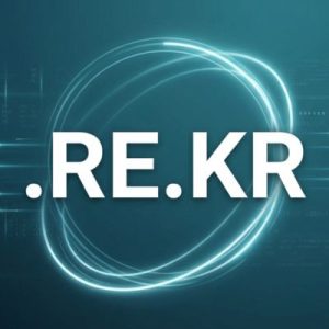 What is a .RE.KR Domain?