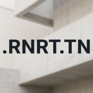 What is a .RNRT.TN Domain?