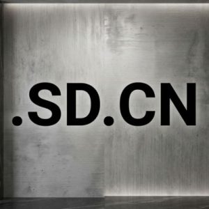 What is a .SD.CN Domain
