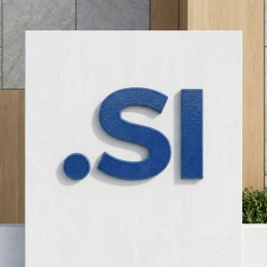 What is a .SI Domain