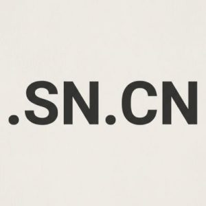 What is a .SN.CN Domain?