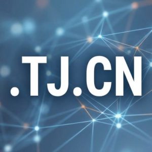 What is a .TJ.CN Domain