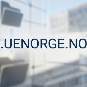 What is a .UENORGE.NO Domain?