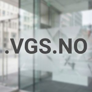What is a .VGS.NO Domain