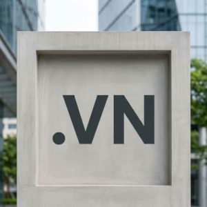 What is a .VN Domain