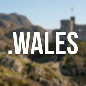 What is a .WALES Domain