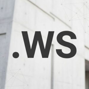 What is a .WS Domain?