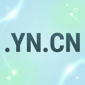 What is a .YN.CN Domain
