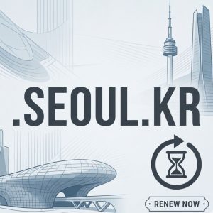 When and Why You Should Renew Your .SEOUL.KR Domain