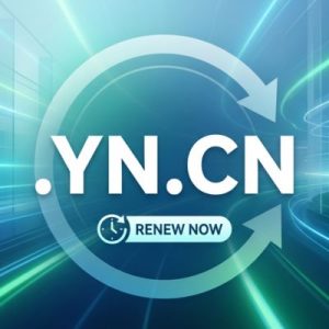 When and Why You Should Renew Your .YN.CN Domain