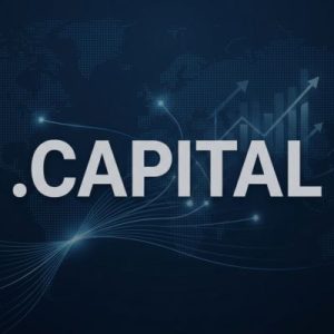 24/7 Technical Support, Strategy, and Expert Assistance - .CAPITAL Domains