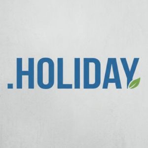 24/7 Technical Support, Strategy, and Expert Assistance-.HOLIDAY Domains