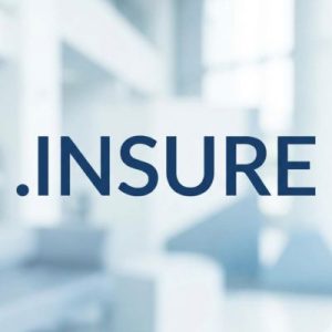 24/7 Technical Support, Strategy, and Expert Assistance- .INSURE Domains