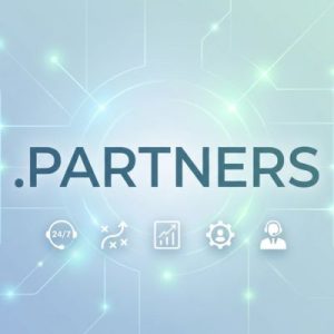 24/7 Technical Support, Strategy, and Expert Assistance- .PARTNERS Domains