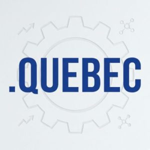 24/7 Technical Support, Strategy, and Expert Assistance- .QUEBEC Domains