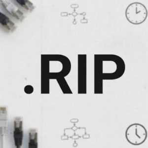 24/7 Technical Support, Strategy, and Expert Assistance- .RIP Domains