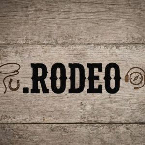 24/7 Technical Support, Strategy, and Expert Assistance- .RODEO Domains